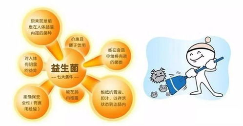 益生菌與益生元 協(xié)同增效的健康“黃金搭檔”
