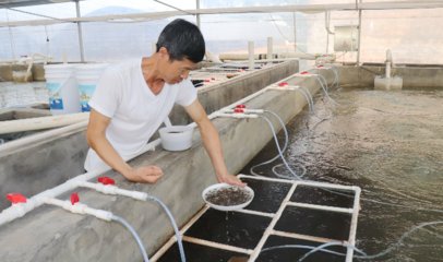 佛山西南街道水產(chǎn)養(yǎng)殖專業(yè)鎮(zhèn):龍頭引領(lǐng),聚焦&ldquo;智慧漁芯&rdquo;平臺