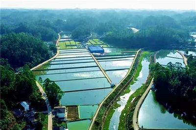 市中區(qū):專業(yè)指揮部&ldquo;夯基&rdquo; 園區(qū)建設出彩出效