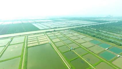 科技要聞-廣州市科學技術(shù)協(xié)會