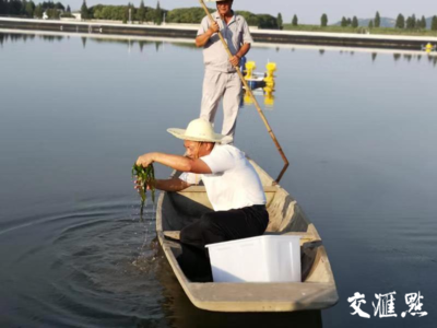 祖國 我想對你說