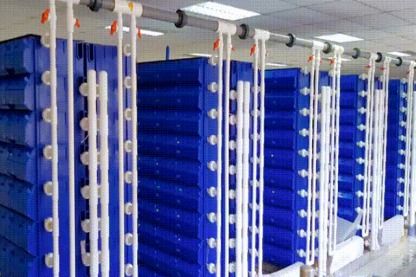 梭子蟹住進 蛻殼公寓 ,新型水產養殖正在興起