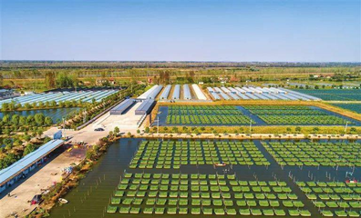 解讀發展加速度 | 3個關鍵詞,讀懂湖北農業三季度答卷