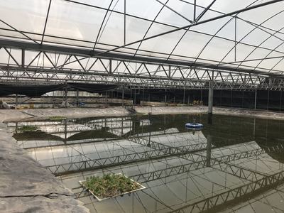 協會前往簡陽市大眾養殖有限責任公司考察調研