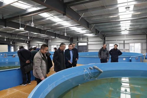 江西省水產(chǎn)學(xué)會(huì)在九江市召開工廠化循環(huán)水養(yǎng)殖研討會(huì)