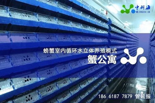 4月 金磚 水產(chǎn)盛會(huì)邀請(qǐng)函 這些先進(jìn)的養(yǎng)殖設(shè)備和技術(shù)將集體亮相廈門