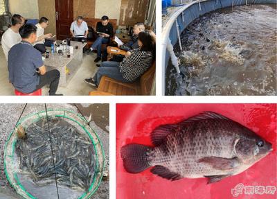 南海所&ldquo;高密度對(duì)蝦+海水羅非魚異位串聯(lián)的生物絮團(tuán)零換水養(yǎng)殖技術(shù)&rdquo;試驗(yàn)示范通過(guò)測(cè)產(chǎn)驗(yàn)收