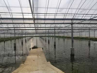 這個&ldquo;85后&rdquo;退役軍人在三星鎮把小龍蝦做成了大生意?你認識他嗎?