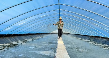 中國青少年身高增幅全球領先,一米八講述科技賦能深海蛋白成國民健康&ldquo;黃金鑰匙&rdquo;