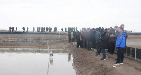 火爆!現(xiàn)場(chǎng)定苗8000斤,十幾年扣蟹養(yǎng)殖戶:瑞灃苗,良心苗,豐收苗!