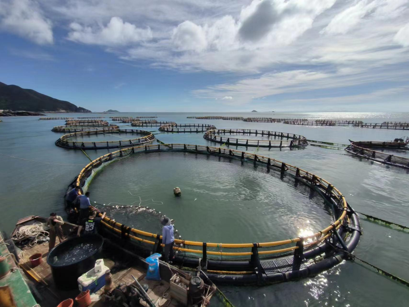 全省示范！溫州3家農(nóng)家樂休閑觀光服務獲殊榮