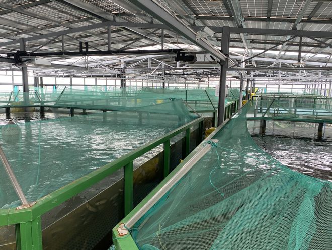 浙江首批“未來農(nóng)場”公布 十大休閑觀光新地標，體驗未來農(nóng)業(yè)新魅力