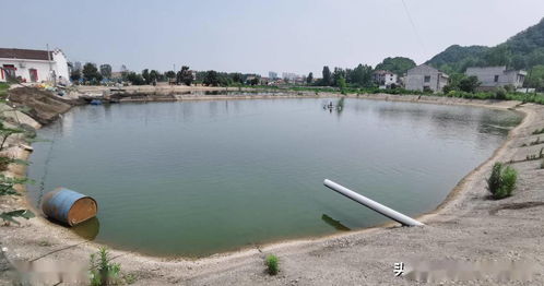 應用新模式新技術，推動水產(chǎn)養(yǎng)殖綠色轉型與可持續(xù)發(fā)展