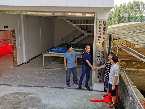 深耕八桂漁水情，科技扶貧譜新篇——記廣西水產(chǎn)引育種中心大宗淡水魚(yú)產(chǎn)業(yè)技術(shù)扶貧團(tuán)隊(duì)