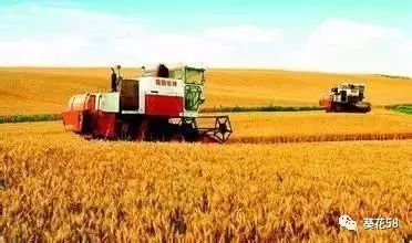 今年農(nóng)業(yè)整體呈現(xiàn)'四漲一降'態(tài)勢(shì)，水產(chǎn)養(yǎng)殖表現(xiàn)突出