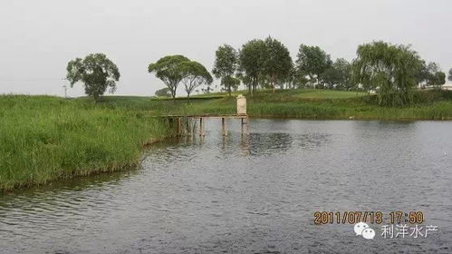 雙輪驅動 提升水產養殖技術與農家樂休閑觀光服務質量的綜合策略